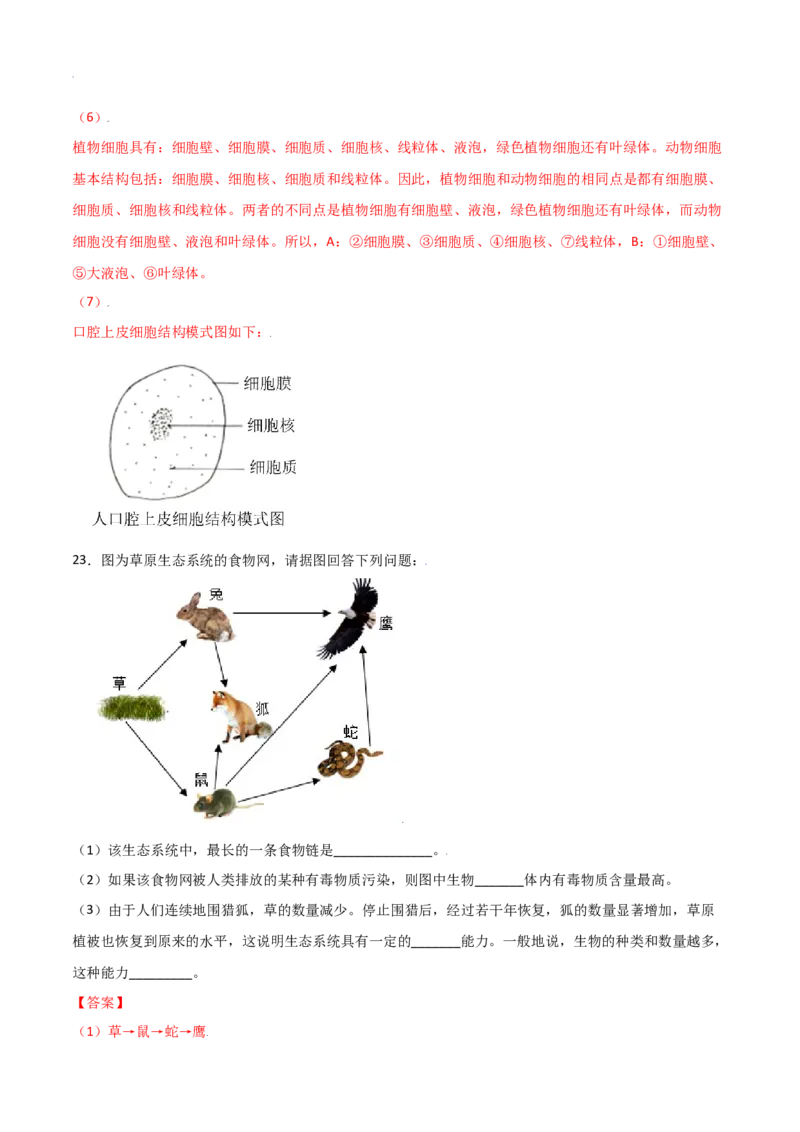 期中测试卷02-（人教版）（解析版）_初中全科电子版试卷练习试题_生物_生物人教版7上练习&mdash;24新版已更新_人教生物7年级上期中试卷07份
