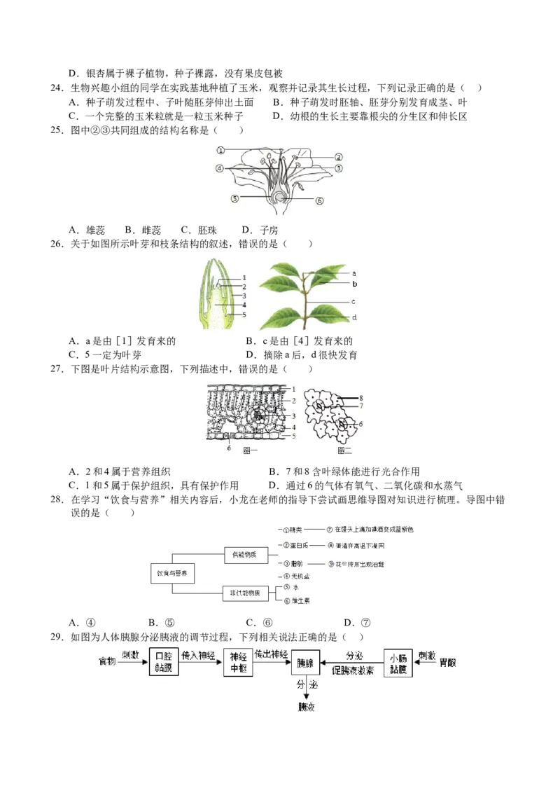 生物（无锡卷）（考试版A4）_初中全科电子版试卷练习试题_生物_2024中考模拟题生物(1)_三模（37套）_生物（无锡卷）