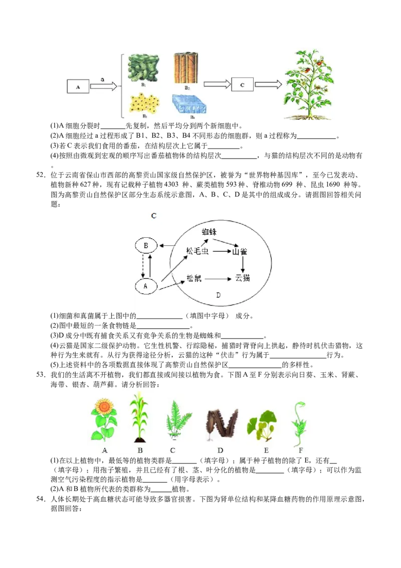 生物（无锡卷）（考试版A4）_初中全科电子版试卷练习试题_生物_2024中考模拟题生物(1)_三模（37套）_生物（无锡卷）