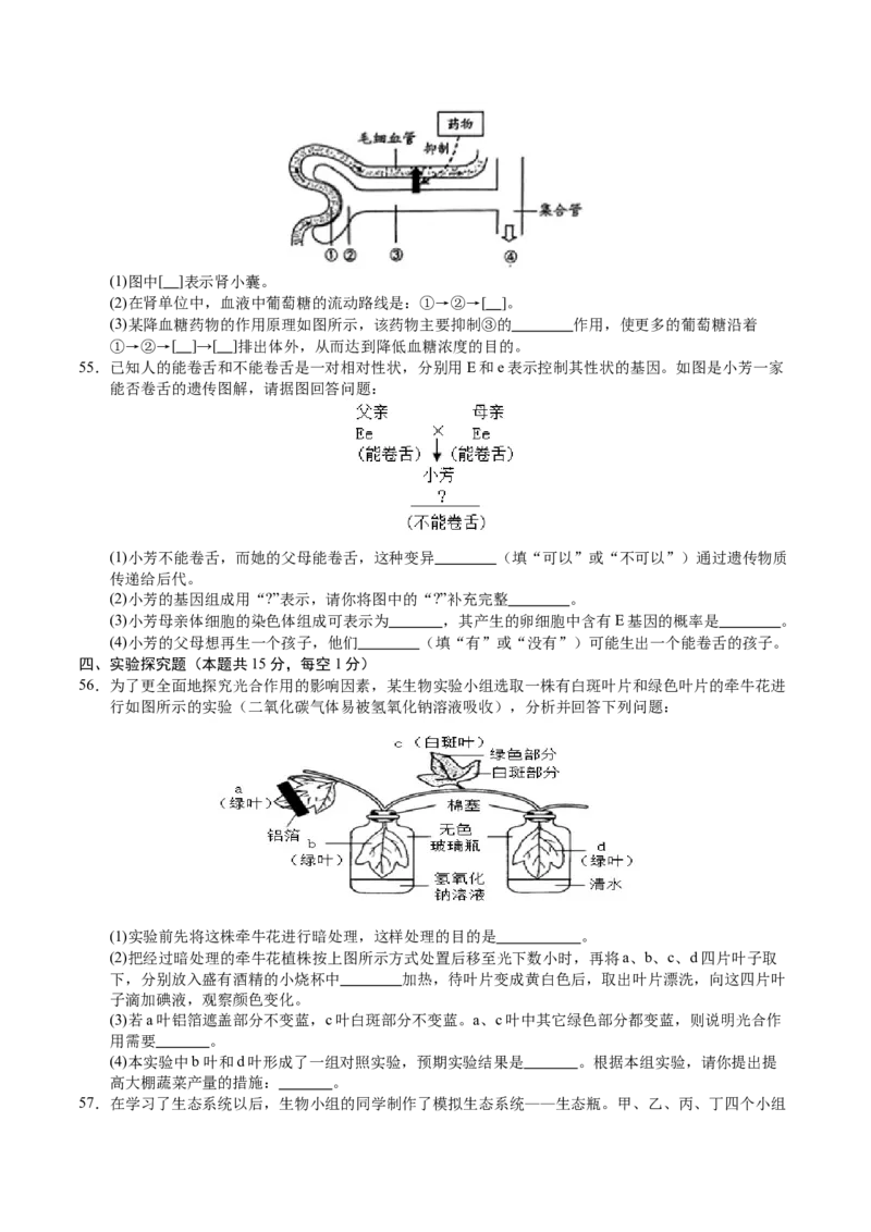 生物（无锡卷）（考试版A4）_初中全科电子版试卷练习试题_生物_2024中考模拟题生物(1)_三模（37套）_生物（无锡卷）
