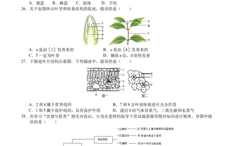 生物（无锡卷）（考试版A4）_初中全科电子版试卷练习试题_生物_2024中考模拟题生物(1)_三模（37套）_生物（无锡卷）