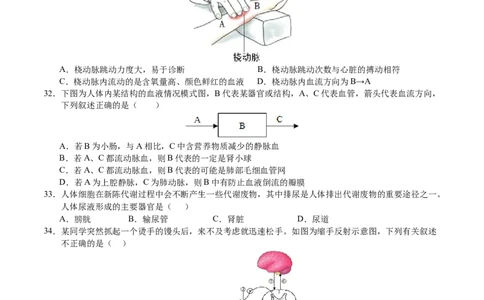 生物（无锡卷）（考试版A4）_初中全科电子版试卷练习试题_生物_2024中考模拟题生物(1)_三模（37套）_生物（无锡卷）