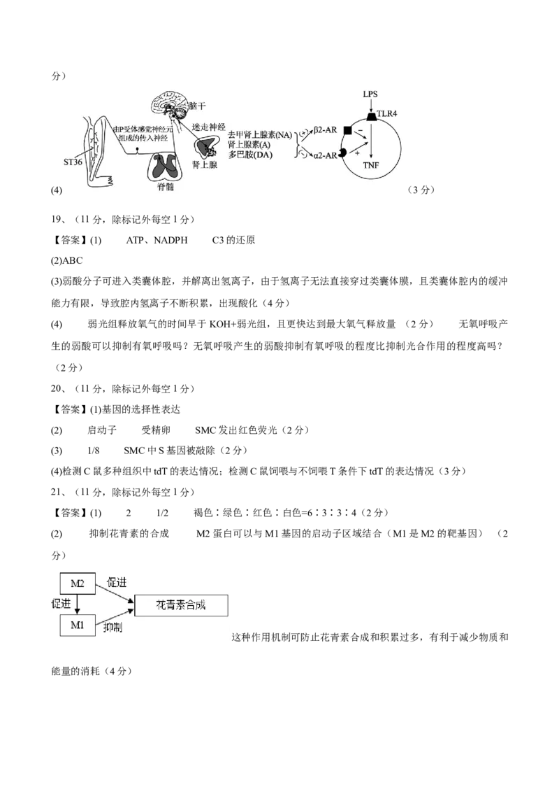 信息必刷卷04（北京专用）（参考答案）_2025年新高考资料_2025考前信息卷_2025年高考生物考前信息必刷卷（北京专用）34427555