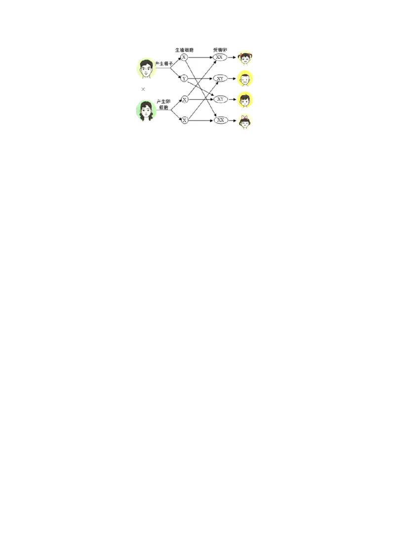 生物（天津卷）（全解全析）_初中全科电子版试卷练习试题_生物_2024中考模拟题生物(1)_一模_生物（天津卷）-2024年中考第一次模拟考试