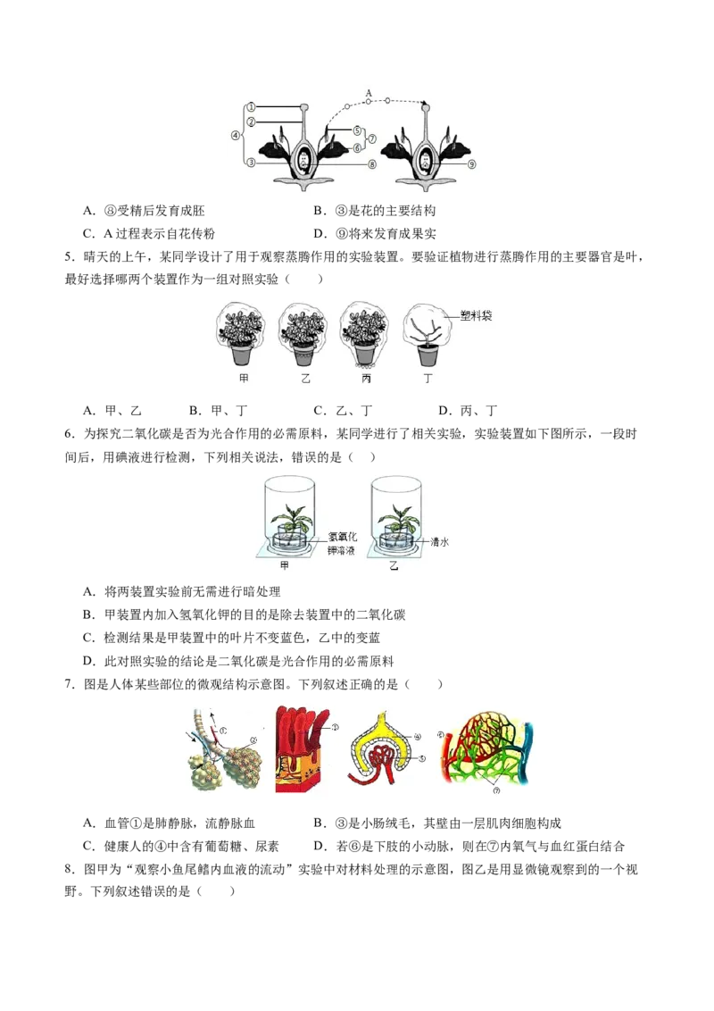 生物（盐城卷）（考试版A4）_初中全科电子版试卷练习试题_生物_2024中考模拟题生物(1)_一模_生物（盐城卷）-2024年中考第一次模拟考试