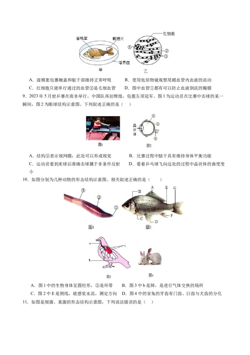 生物（盐城卷）（考试版A4）_初中全科电子版试卷练习试题_生物_2024中考模拟题生物(1)_一模_生物（盐城卷）-2024年中考第一次模拟考试