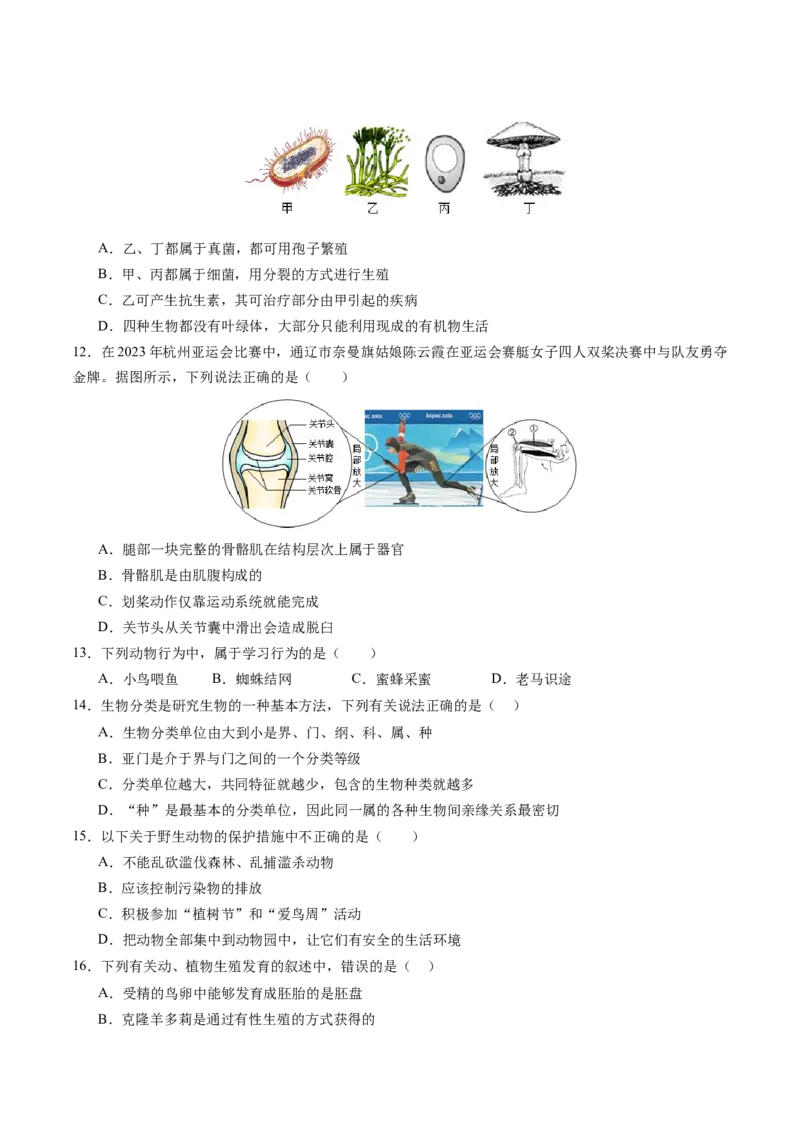 生物（盐城卷）（考试版A4）_初中全科电子版试卷练习试题_生物_2024中考模拟题生物(1)_一模_生物（盐城卷）-2024年中考第一次模拟考试