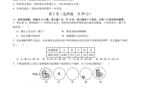 生物（盐城卷）（考试版A4）_初中全科电子版试卷练习试题_生物_2024中考模拟题生物(1)_一模_生物（盐城卷）-2024年中考第一次模拟考试