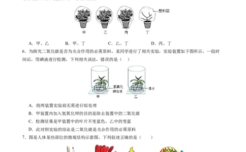 生物（盐城卷）（考试版A4）_初中全科电子版试卷练习试题_生物_2024中考模拟题生物(1)_一模_生物（盐城卷）-2024年中考第一次模拟考试