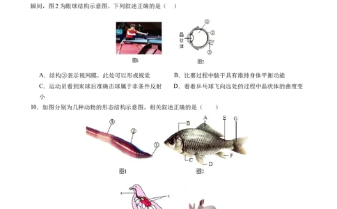 生物（盐城卷）（考试版A4）_初中全科电子版试卷练习试题_生物_2024中考模拟题生物(1)_一模_生物（盐城卷）-2024年中考第一次模拟考试