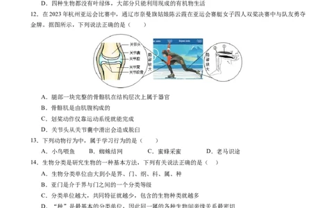 生物（盐城卷）（考试版A4）_初中全科电子版试卷练习试题_生物_2024中考模拟题生物(1)_一模_生物（盐城卷）-2024年中考第一次模拟考试