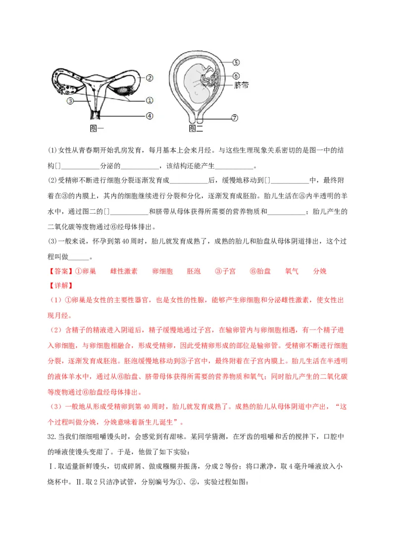 期中测试01-（解析版）_初中全科电子版试卷练习试题_生物_生物人教版7下练习_人教生物7年级下期中试卷07份