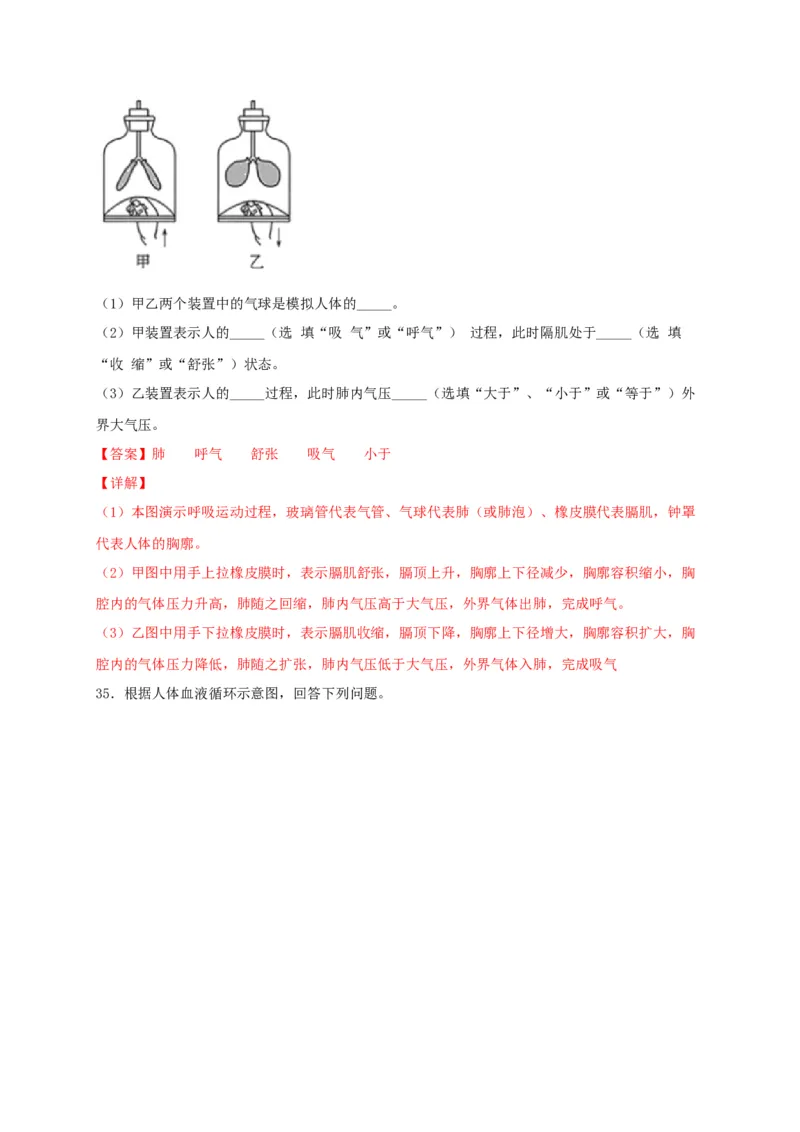 期中测试01-（解析版）_初中全科电子版试卷练习试题_生物_生物人教版7下练习_人教生物7年级下期中试卷07份