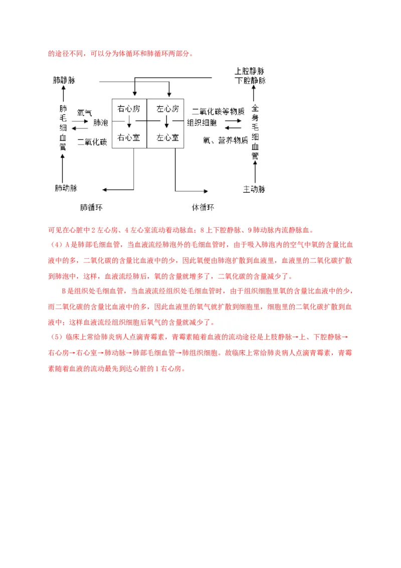 期中测试01-（解析版）_初中全科电子版试卷练习试题_生物_生物人教版7下练习_人教生物7年级下期中试卷07份