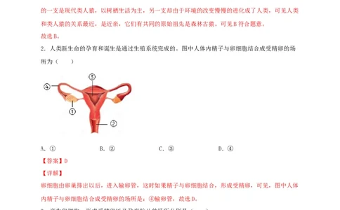 期中测试01-（解析版）_初中全科电子版试卷练习试题_生物_生物人教版7下练习_人教生物7年级下期中试卷07份