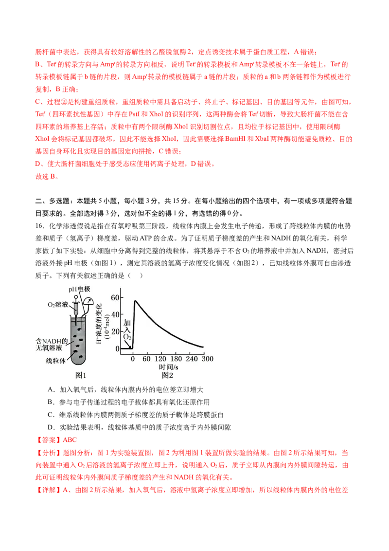 信息必刷卷04（黑吉辽蒙专用）（解析版）_2025年新高考资料_2025考前信息卷_2025年高考生物考前信息必刷卷（黑吉辽蒙专用）34415095
