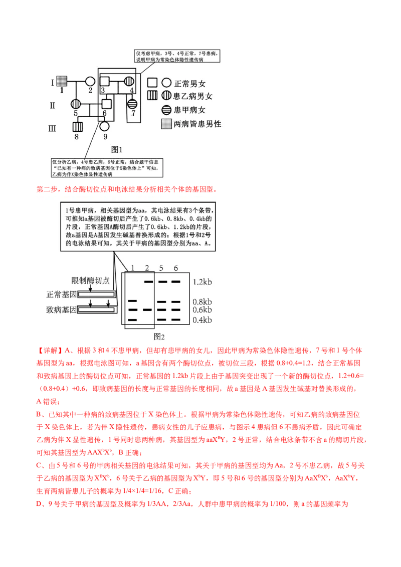 信息必刷卷04（黑吉辽蒙专用）（解析版）_2025年新高考资料_2025考前信息卷_2025年高考生物考前信息必刷卷（黑吉辽蒙专用）34415095