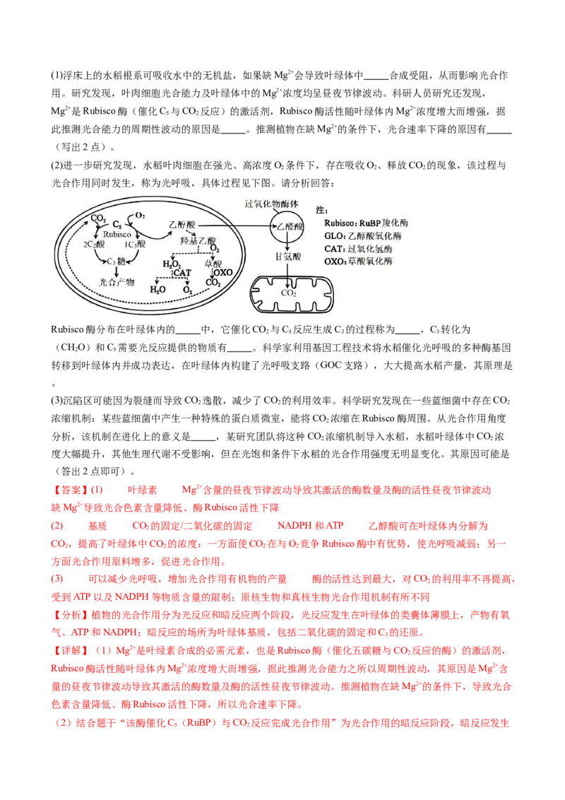 信息必刷卷04（黑吉辽蒙专用）（解析版）_2025年新高考资料_2025考前信息卷_2025年高考生物考前信息必刷卷（黑吉辽蒙专用）34415095