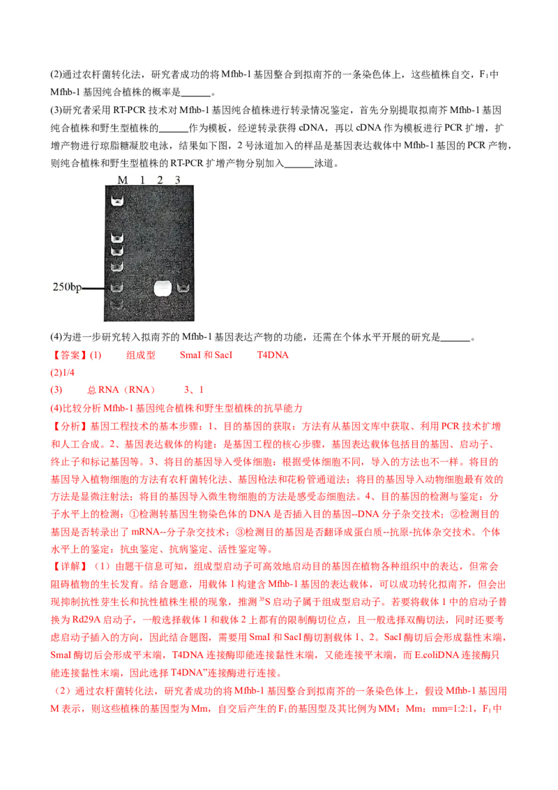 信息必刷卷04（黑吉辽蒙专用）（解析版）_2025年新高考资料_2025考前信息卷_2025年高考生物考前信息必刷卷（黑吉辽蒙专用）34415095