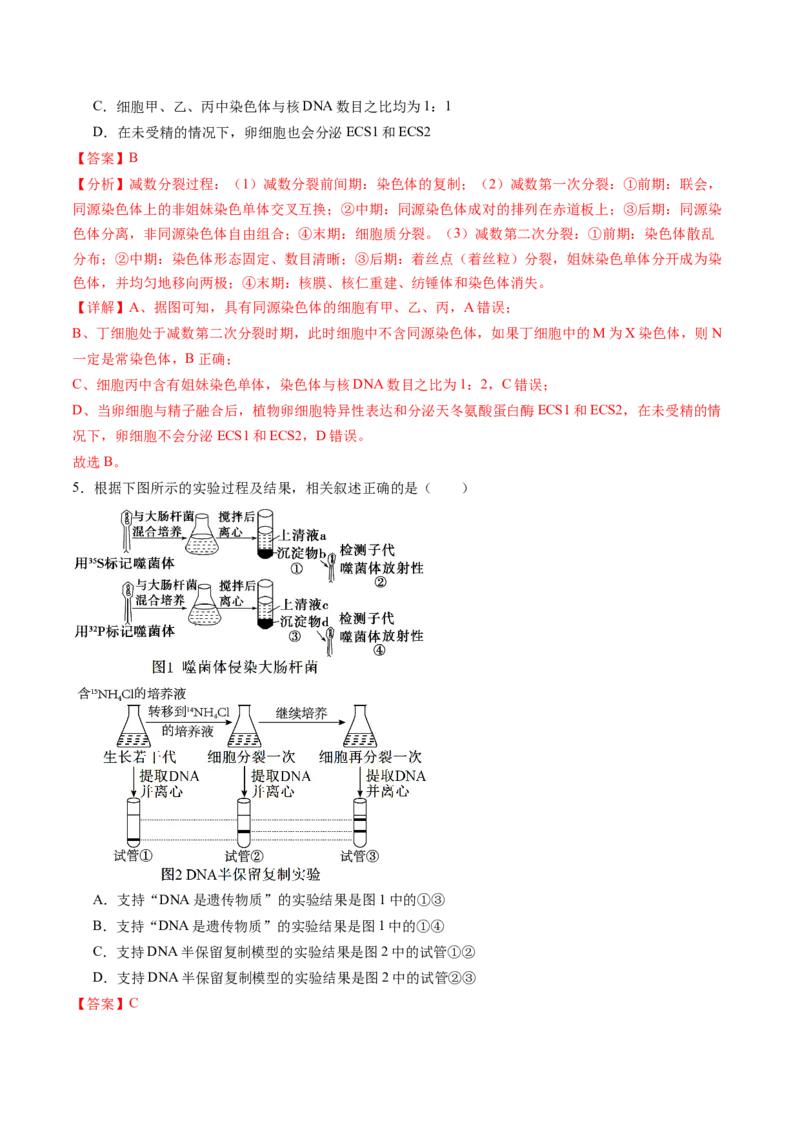 信息必刷卷04（黑吉辽蒙专用）（解析版）_2025年新高考资料_2025考前信息卷_2025年高考生物考前信息必刷卷（黑吉辽蒙专用）34415095