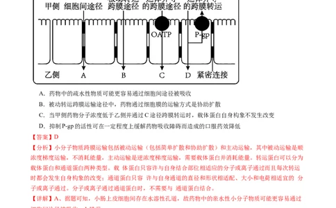 信息必刷卷04（黑吉辽蒙专用）（解析版）_2025年新高考资料_2025考前信息卷_2025年高考生物考前信息必刷卷（黑吉辽蒙专用）34415095
