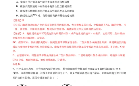 信息必刷卷04（黑吉辽蒙专用）（解析版）_2025年新高考资料_2025考前信息卷_2025年高考生物考前信息必刷卷（黑吉辽蒙专用）34415095