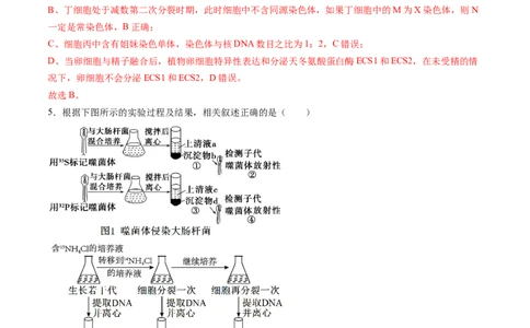 信息必刷卷04（黑吉辽蒙专用）（解析版）_2025年新高考资料_2025考前信息卷_2025年高考生物考前信息必刷卷（黑吉辽蒙专用）34415095