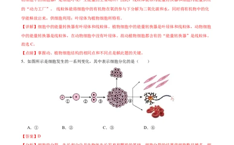 生物（海南卷）全解全析_初中全科电子版试卷练习试题_生物_2024中考模拟题生物(1)_二模_生物（海南卷）-：2024年中考第二次模拟考试