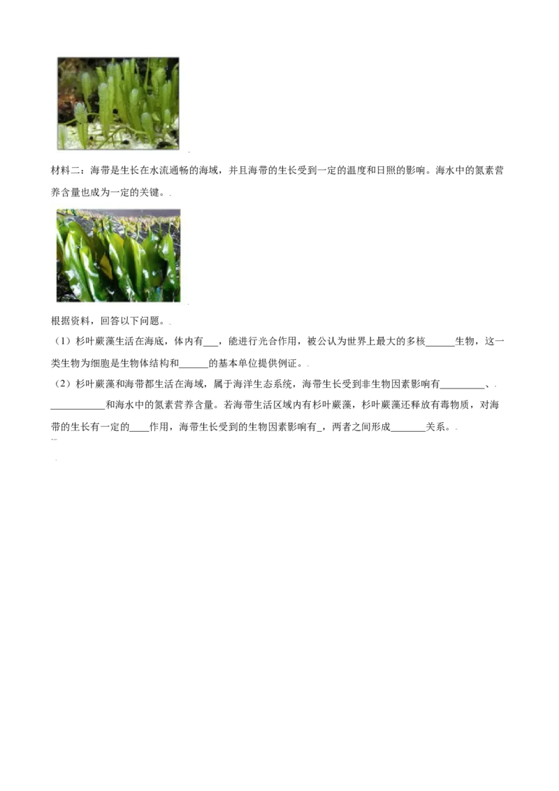 必考点14藻类、苔藓和蕨类植物-（人教版）（原卷版）_初中全科电子版试卷练习试题_生物_生物人教版7上练习&mdash;24新版已更新_人教生物7年级上专项练习28份