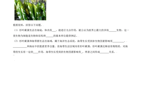 必考点14藻类、苔藓和蕨类植物-（人教版）（原卷版）_初中全科电子版试卷练习试题_生物_生物人教版7上练习&mdash;24新版已更新_人教生物7年级上专项练习28份