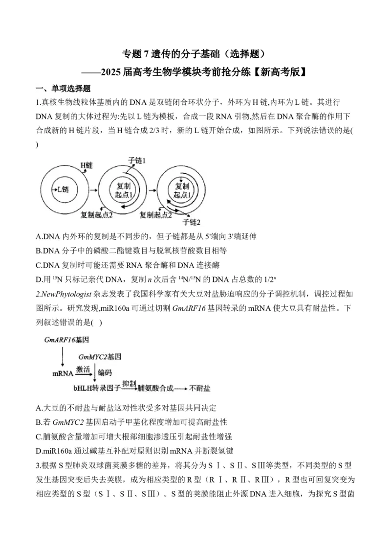 专题7遗传的分子基础（选择题）&mdash;&mdash;2025届高考生物学模块分练新高考版（含解析）_2025年新高考资料_二轮复习_新高考版2025届高考生物学模块分练选择题与非选择题（含解析）