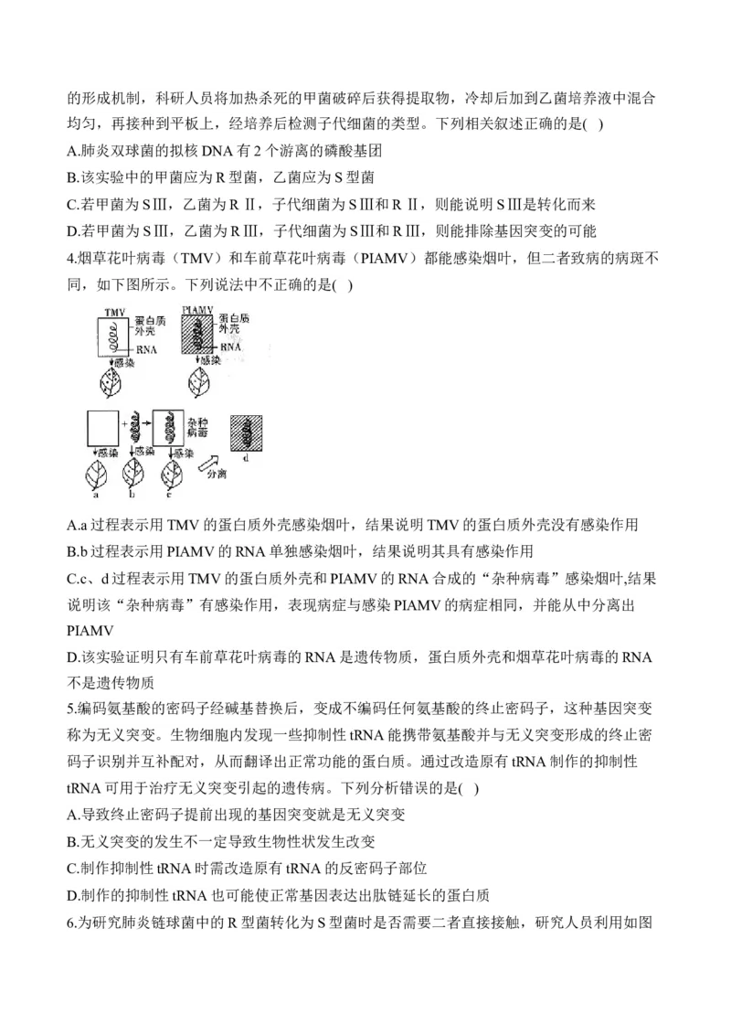 专题7遗传的分子基础（选择题）&mdash;&mdash;2025届高考生物学模块分练新高考版（含解析）_2025年新高考资料_二轮复习_新高考版2025届高考生物学模块分练选择题与非选择题（含解析）