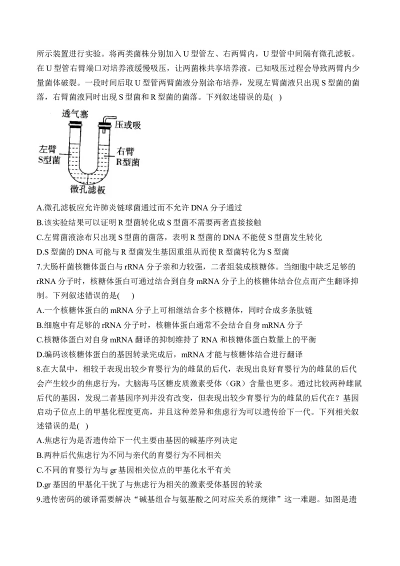 专题7遗传的分子基础（选择题）&mdash;&mdash;2025届高考生物学模块分练新高考版（含解析）_2025年新高考资料_二轮复习_新高考版2025届高考生物学模块分练选择题与非选择题（含解析）