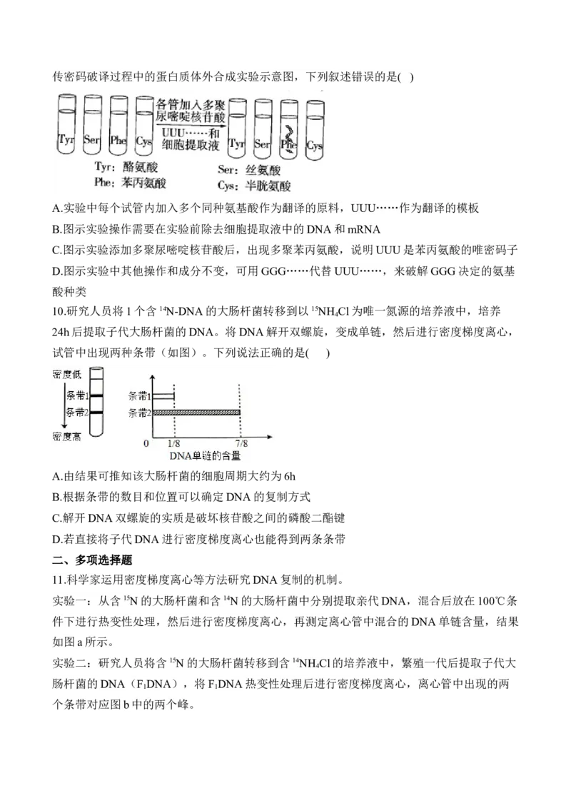 专题7遗传的分子基础（选择题）&mdash;&mdash;2025届高考生物学模块分练新高考版（含解析）_2025年新高考资料_二轮复习_新高考版2025届高考生物学模块分练选择题与非选择题（含解析）
