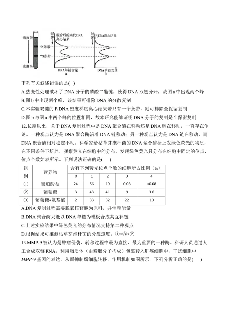 专题7遗传的分子基础（选择题）&mdash;&mdash;2025届高考生物学模块分练新高考版（含解析）_2025年新高考资料_二轮复习_新高考版2025届高考生物学模块分练选择题与非选择题（含解析）