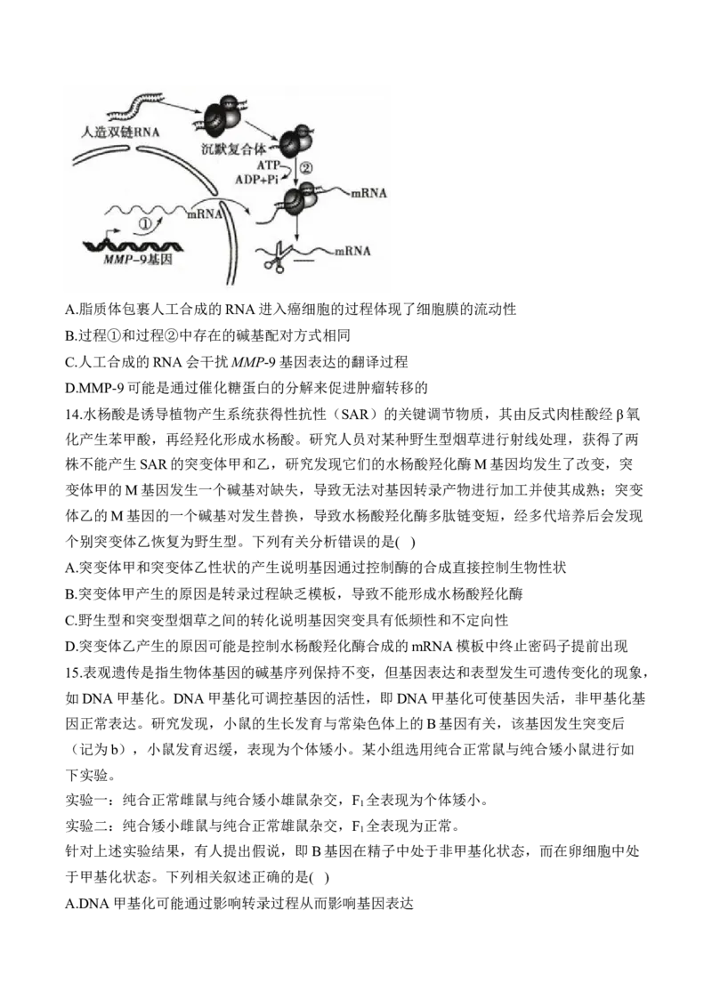 专题7遗传的分子基础（选择题）&mdash;&mdash;2025届高考生物学模块分练新高考版（含解析）_2025年新高考资料_二轮复习_新高考版2025届高考生物学模块分练选择题与非选择题（含解析）