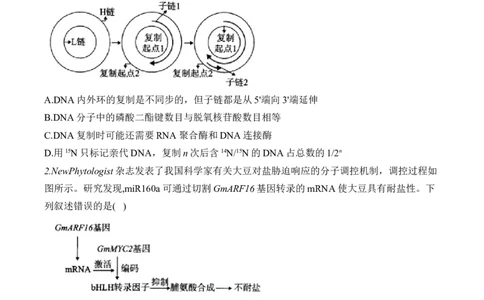专题7遗传的分子基础（选择题）&mdash;&mdash;2025届高考生物学模块分练新高考版（含解析）_2025年新高考资料_二轮复习_新高考版2025届高考生物学模块分练选择题与非选择题（含解析）
