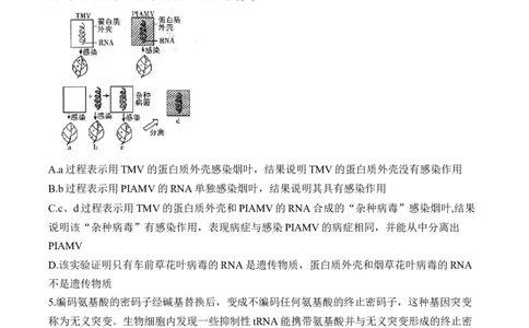 专题7遗传的分子基础（选择题）&mdash;&mdash;2025届高考生物学模块分练新高考版（含解析）_2025年新高考资料_二轮复习_新高考版2025届高考生物学模块分练选择题与非选择题（含解析）