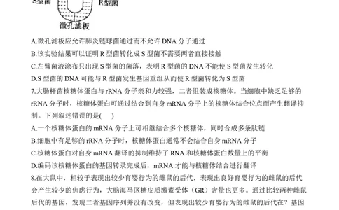 专题7遗传的分子基础（选择题）&mdash;&mdash;2025届高考生物学模块分练新高考版（含解析）_2025年新高考资料_二轮复习_新高考版2025届高考生物学模块分练选择题与非选择题（含解析）