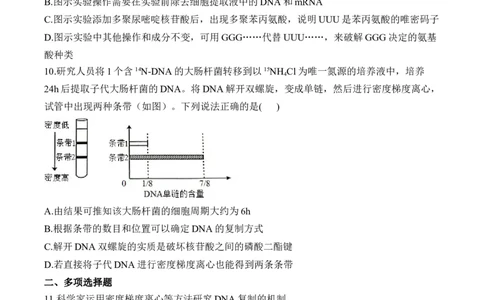 专题7遗传的分子基础（选择题）&mdash;&mdash;2025届高考生物学模块分练新高考版（含解析）_2025年新高考资料_二轮复习_新高考版2025届高考生物学模块分练选择题与非选择题（含解析）