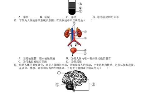 生物（扬州卷）（考试版A4）_初中全科电子版试卷练习试题_生物_2024中考模拟题生物(1)_二模_生物（扬州卷）-：2024年中考第二次模拟考试