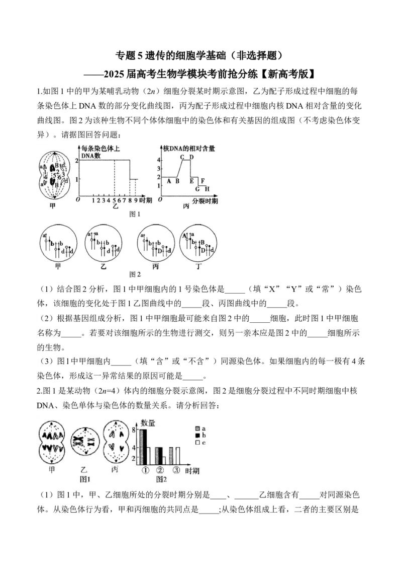 专题5遗传的细胞学基础（非选择题）&mdash;&mdash;2025届高考生物学模块分练新高考版（含解析）_2025年新高考资料_二轮复习