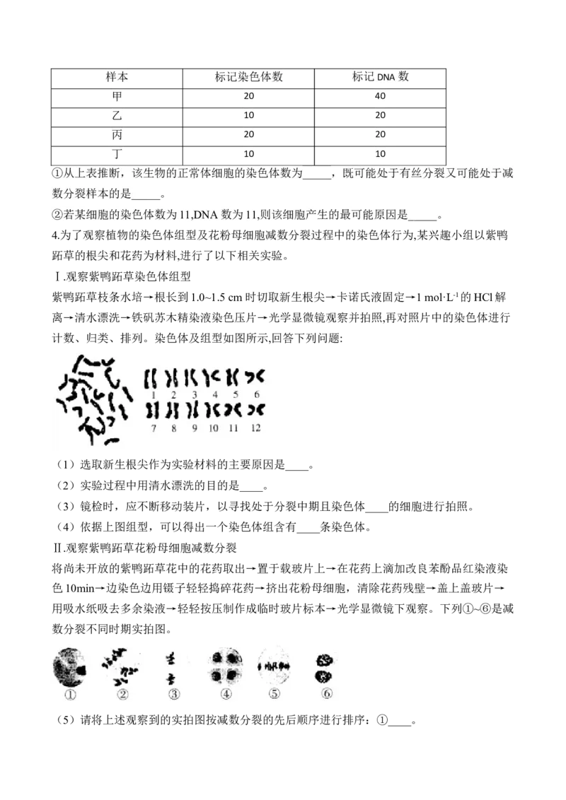 专题5遗传的细胞学基础（非选择题）&mdash;&mdash;2025届高考生物学模块分练新高考版（含解析）_2025年新高考资料_二轮复习