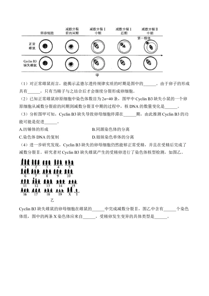 专题5遗传的细胞学基础（非选择题）&mdash;&mdash;2025届高考生物学模块分练新高考版（含解析）_2025年新高考资料_二轮复习