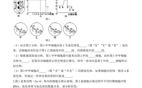 专题5遗传的细胞学基础（非选择题）&mdash;&mdash;2025届高考生物学模块分练新高考版（含解析）_2025年新高考资料_二轮复习
