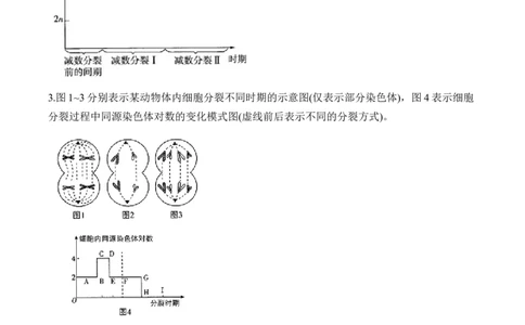 专题5遗传的细胞学基础（非选择题）&mdash;&mdash;2025届高考生物学模块分练新高考版（含解析）_2025年新高考资料_二轮复习
