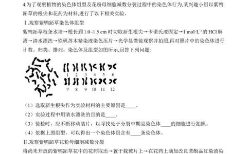 专题5遗传的细胞学基础（非选择题）&mdash;&mdash;2025届高考生物学模块分练新高考版（含解析）_2025年新高考资料_二轮复习