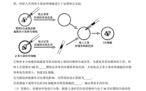 专题5遗传的细胞学基础（非选择题）&mdash;&mdash;2025届高考生物学模块分练新高考版（含解析）_2025年新高考资料_二轮复习