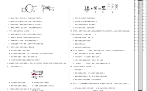 生物（河南卷）（考试版A3）_初中全科电子版试卷练习试题_生物_2024中考模拟题生物(1)_二模_生物（河南卷）-：2024年中考第二次模拟考试
