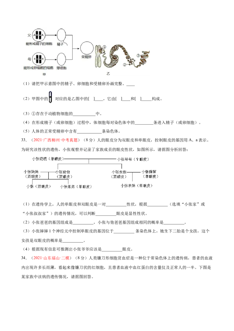 第07单元第02章生物的遗传与变异单元测试（B卷&middot;提升能力）（原卷版）_初中全科电子版试卷练习试题_生物_生物8下练习_人教生物8年级下单元试卷38份